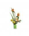 The Tropical Bright Arrangement